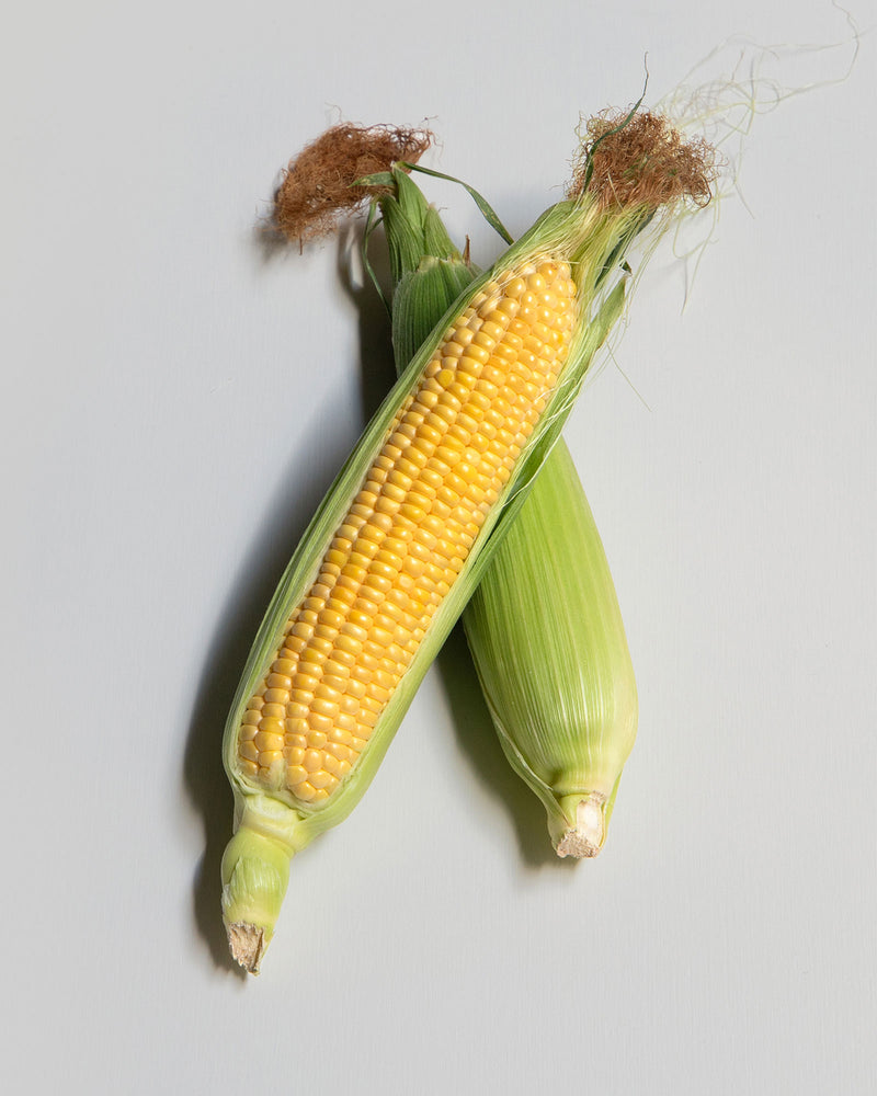 CORN