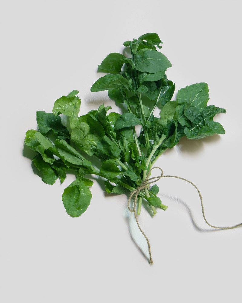 ARUGULA